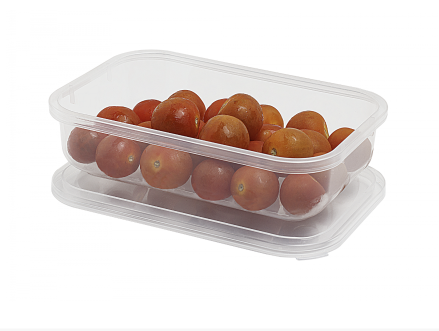 TAPER PLAS REC 1 LT JUNIOR MYR 1955