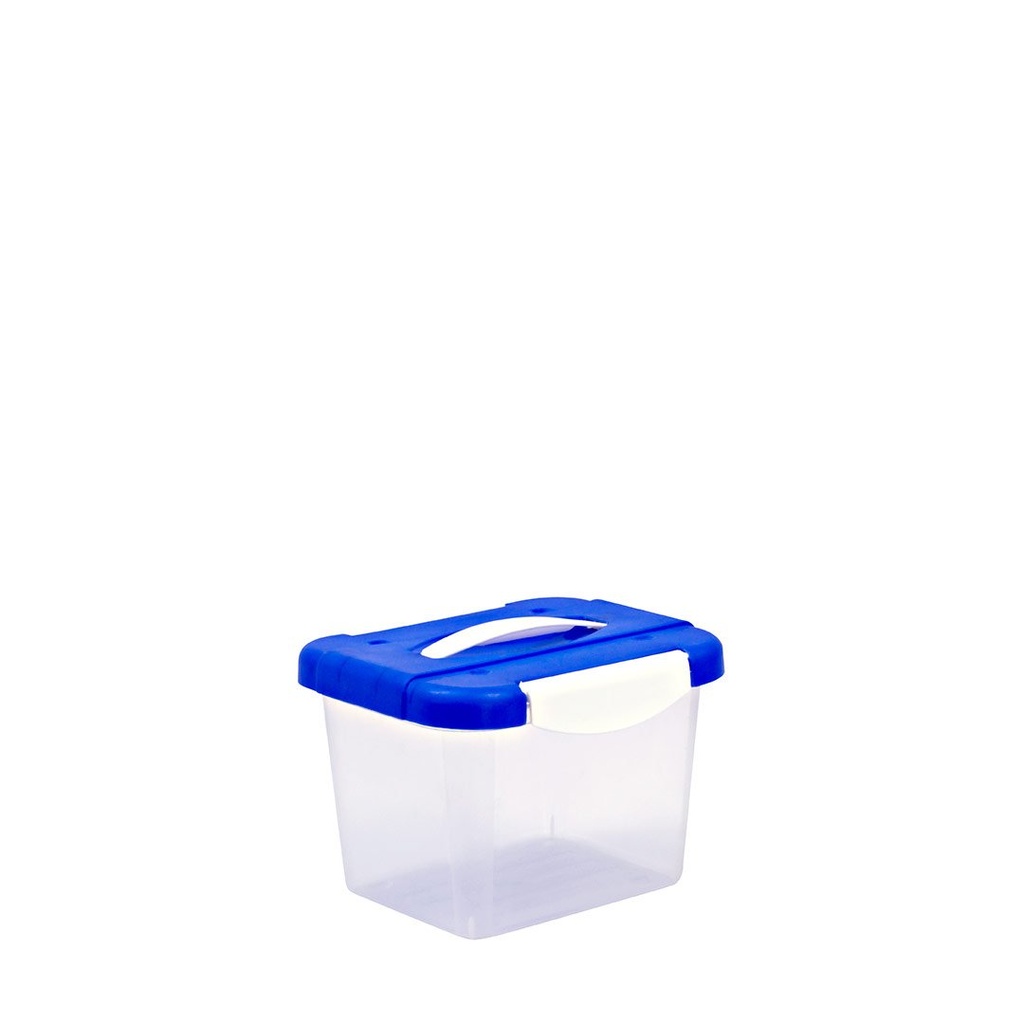 CAJA CLICK 4 LT TR AZ FRIDA P.2196 C C/AGARRADOR GUATEPLAST AR013670-FAZ-0