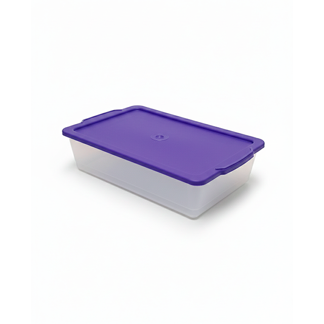 CAJA PLAS 2 LT TR SPARTA 0208