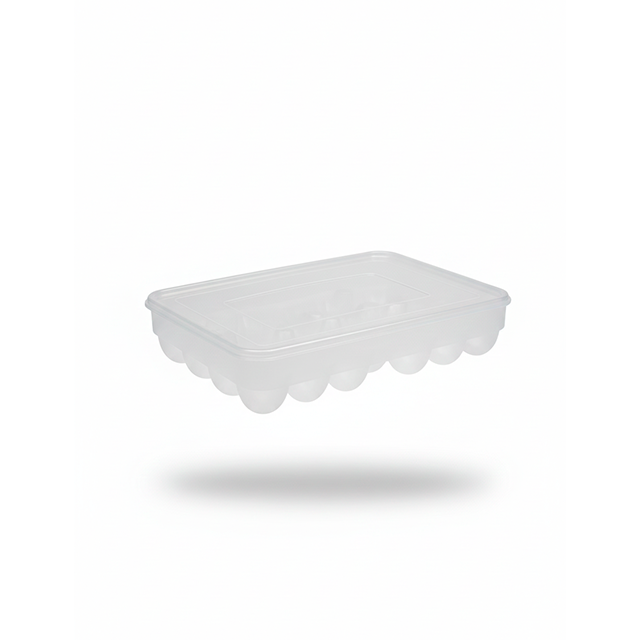 DEPOSITO P/HUEVO REC 34 ESPAC C/T PHA02