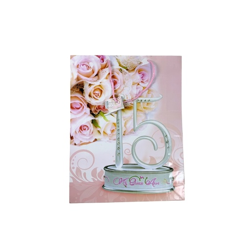 [15001382] BOLSA REGALO XL DECO SURT JYE-324510-04/JAS-324510-02
