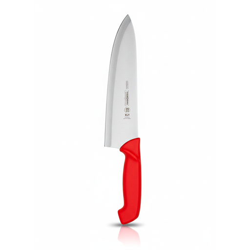 [19909] CUCHILLO INOX 10" CARNICERO RJ PROF 24621/070